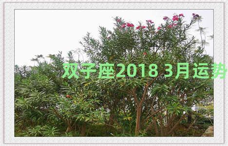 双子座2018 3月运势